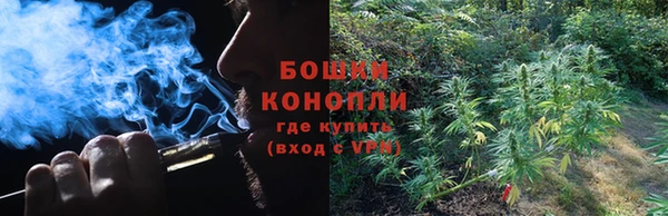 дживик Верхний Тагил