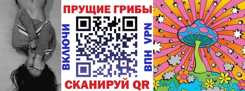 Псилоцибиновые грибы Cubensis  что такое   Кизилюрт 