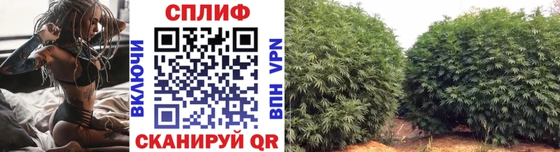 Конопля LSD WEED  кракен tor  Кизилюрт 